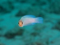 IMG_2771