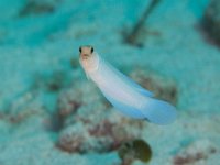 IMG_2772
