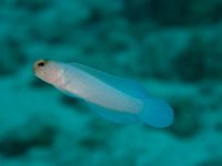 IMG_2774