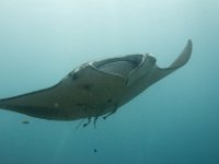 Maldives-102