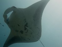 Maldives-103