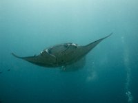 Maldives-107