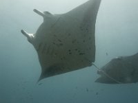 Maldives-108