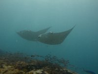 Maldives-109