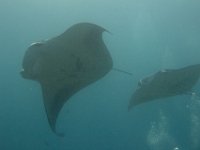 Maldives-110