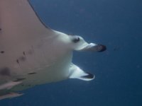 Maldives-116