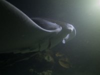 Maldives-130