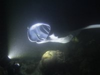 Maldives-132