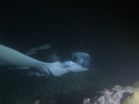 Maldives-134