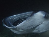 Maldives-135