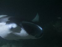 Maldives-138
