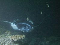 Maldives-139