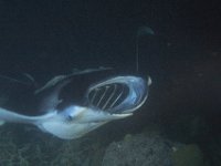 Maldives-140