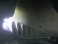 Maldives-141