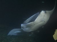 Maldives-142