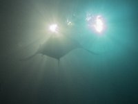 Maldives-143