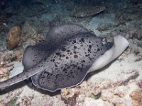 Maldives-151