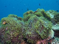 Maldives-164