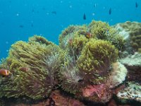 Maldives-165