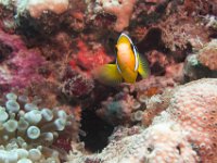 Maldives-167