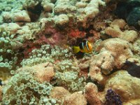 Maldives-168