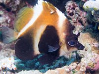 Maldives-170