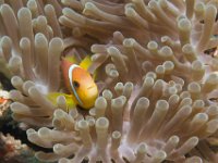 Maldives-172