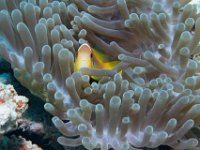 Maldives-173