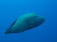 Maldives-175