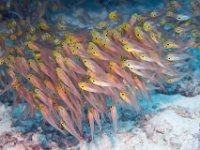 Maldives-179