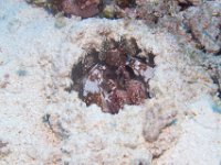 Maldives-180