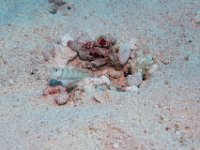 Maldives-181