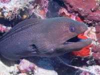 Maldives-182