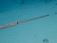 Maldives-183