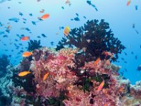 Maldives-189