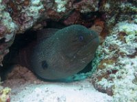 Maldives-25