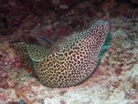 Maldives-26