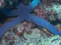 Maldives-27