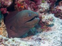 Maldives-32