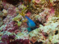 Maldives-34