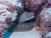 Maldives-36