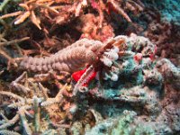 Maldives-45