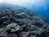 Maldives-46
