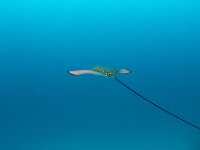 Maldives-63