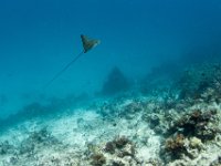 Maldives-64