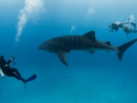Maldives-68