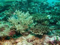 Maldives-75