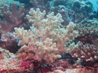 Maldives-76
