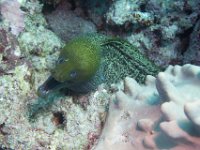 Maldives-77