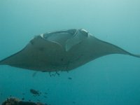 Maldives-96